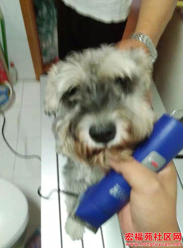 092812sx6rm6rbrmjwpooa.jpg