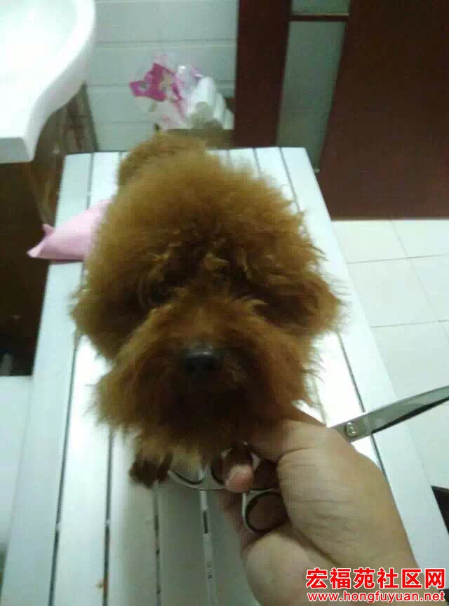 092815wb167k9mru1k71bu.jpg
