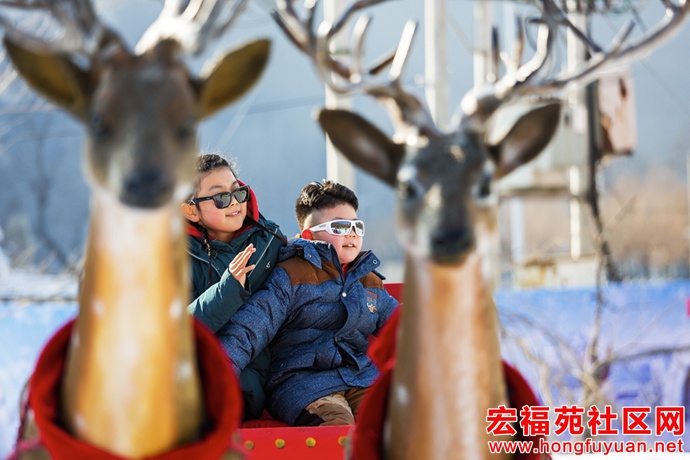 图片26.jpg