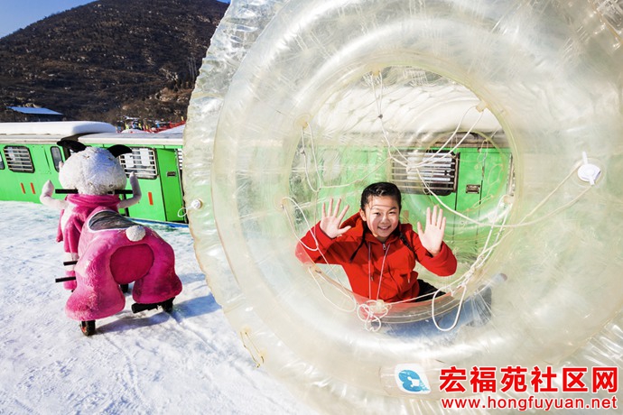 图片28.jpg