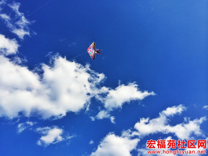 图片20.jpg