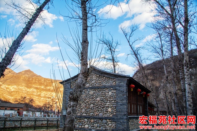 图片21.jpg