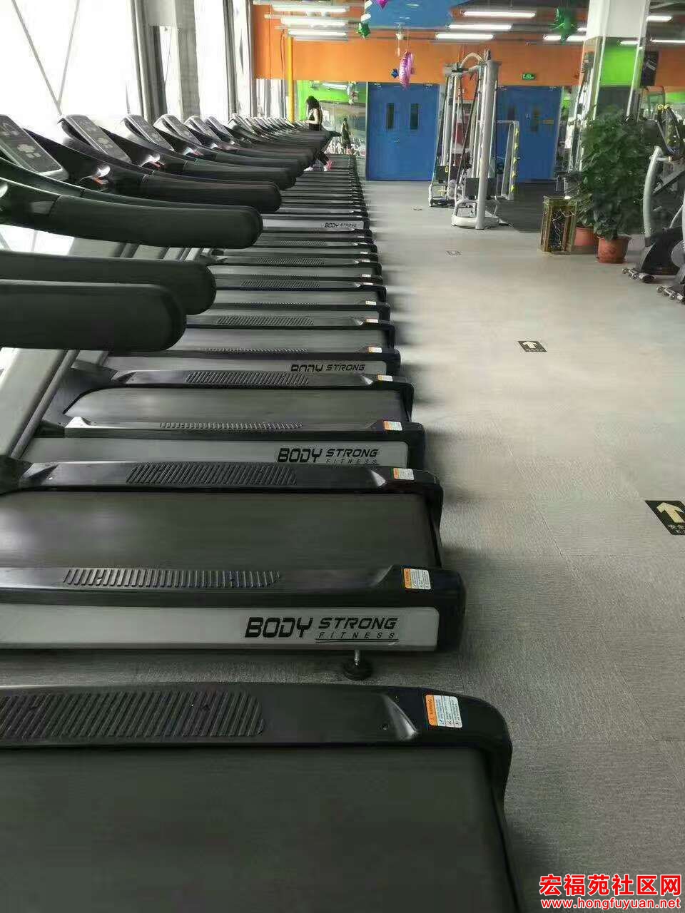 132205odqev01daaml2dnx.jpg