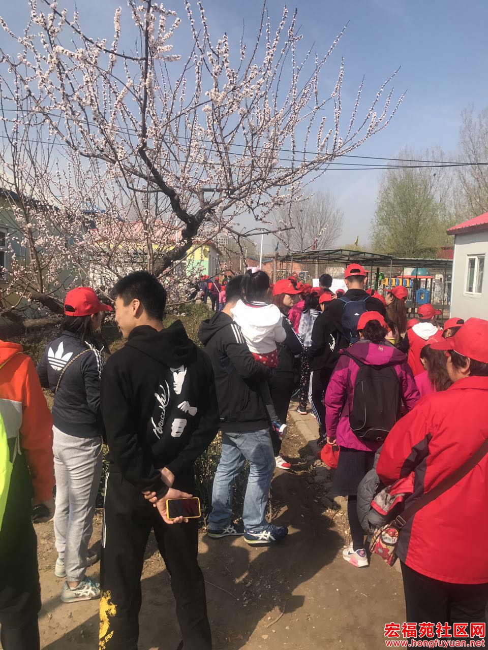 微信图片_20170403183532.jpg