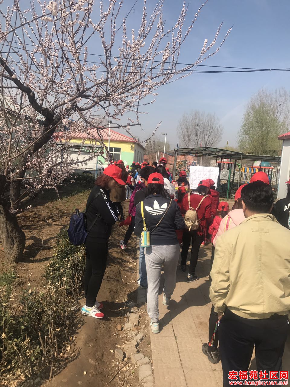 微信图片_20170403183534.jpg
