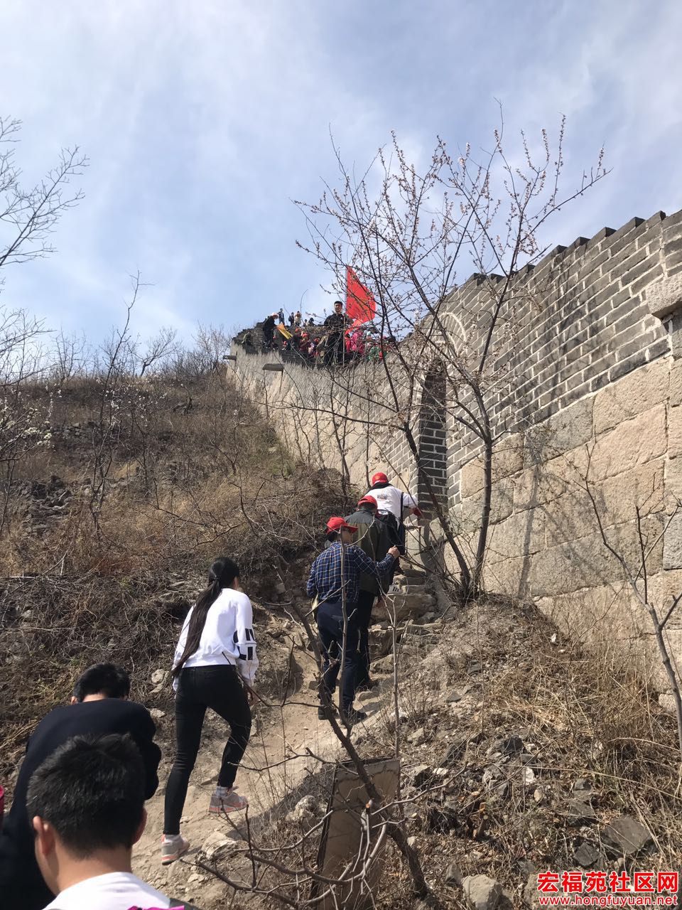 微信图片_20170403183537.jpg