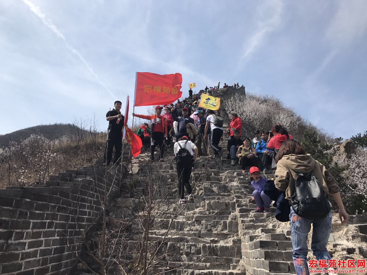 微信图片_20170403183539.jpg