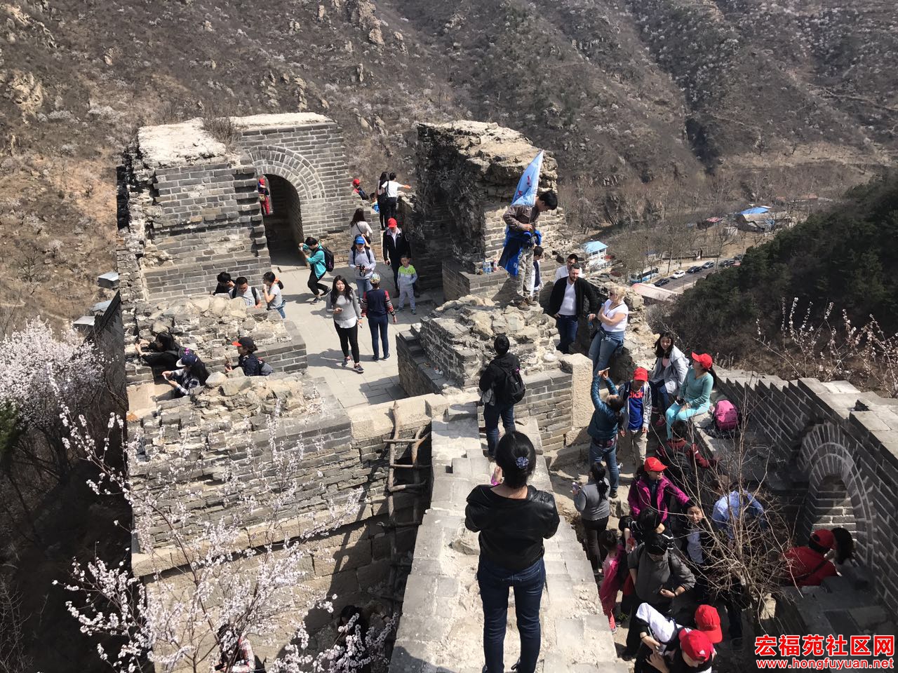 微信图片_20170403183541.jpg