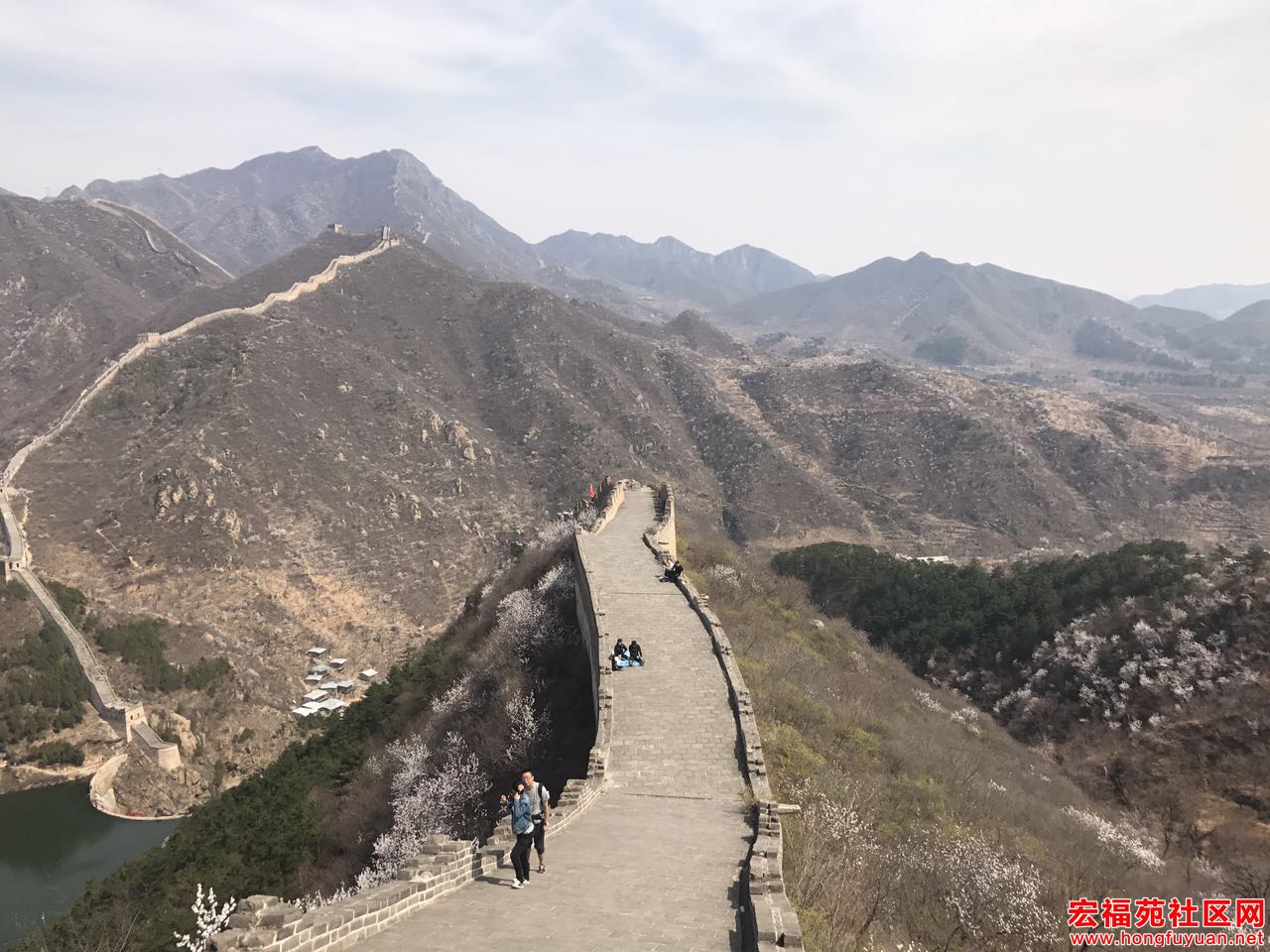 微信图片_20170403183542.jpg