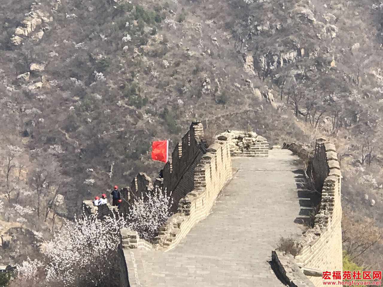 微信图片_20170403183544.jpg