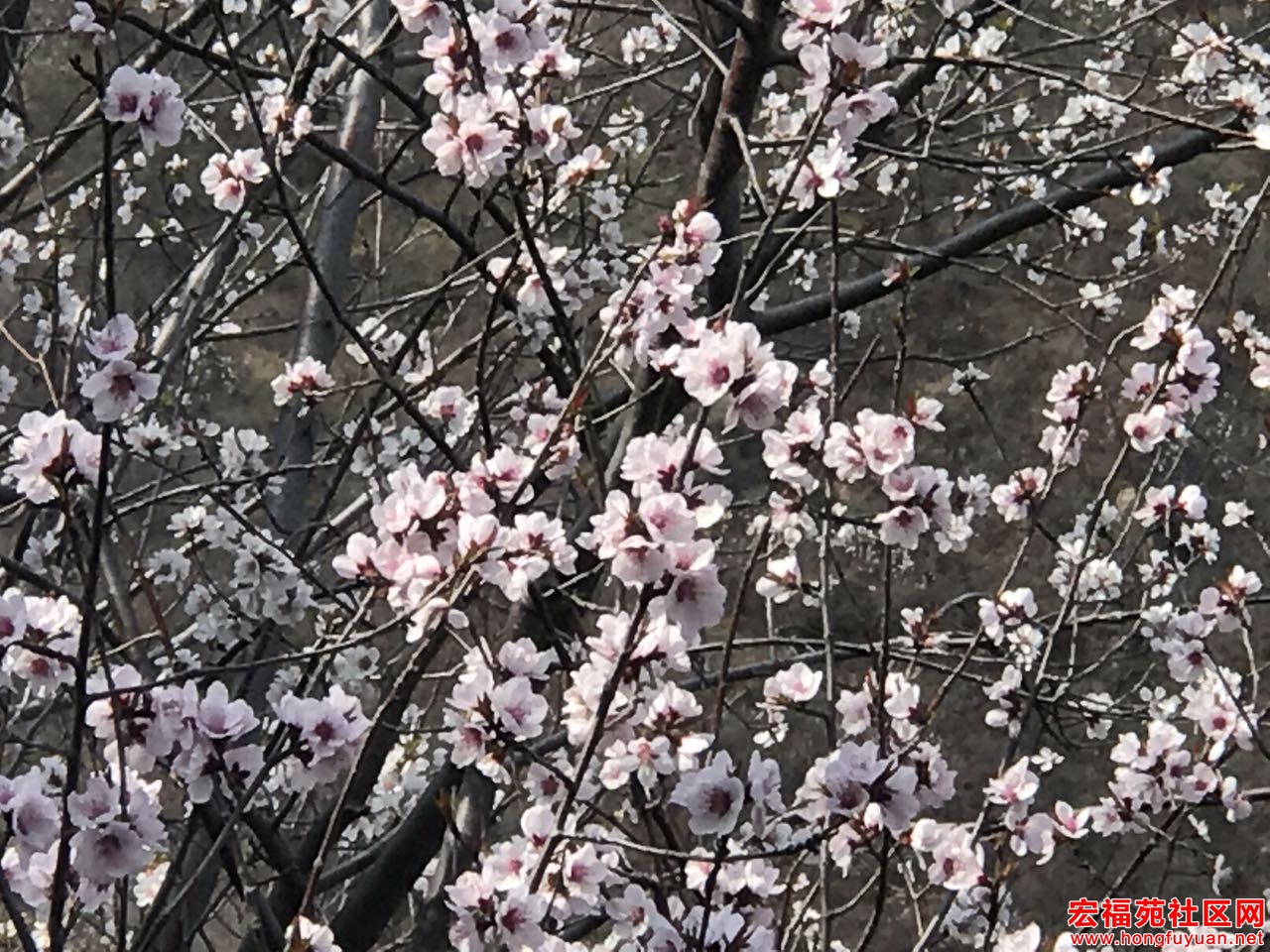 微信图片_20170403183547.jpg