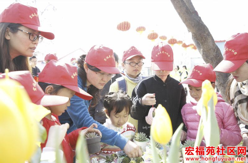 微信图片_20170403183555.jpg