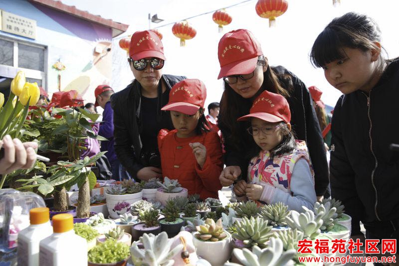 微信图片_20170403183554.jpg