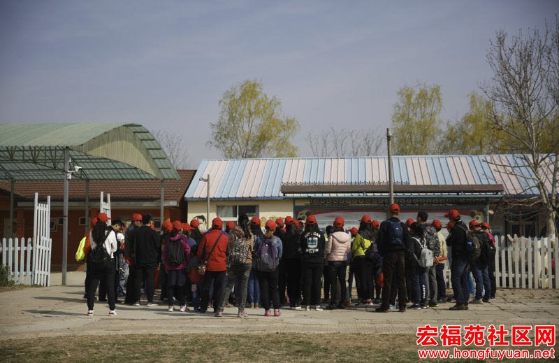 微信图片_20170403183559.jpg