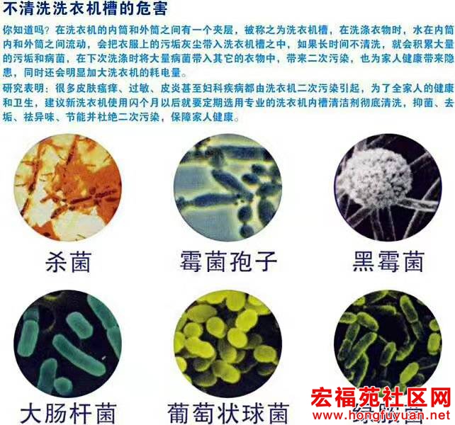 092206t55ejed55yelnjue.jpg