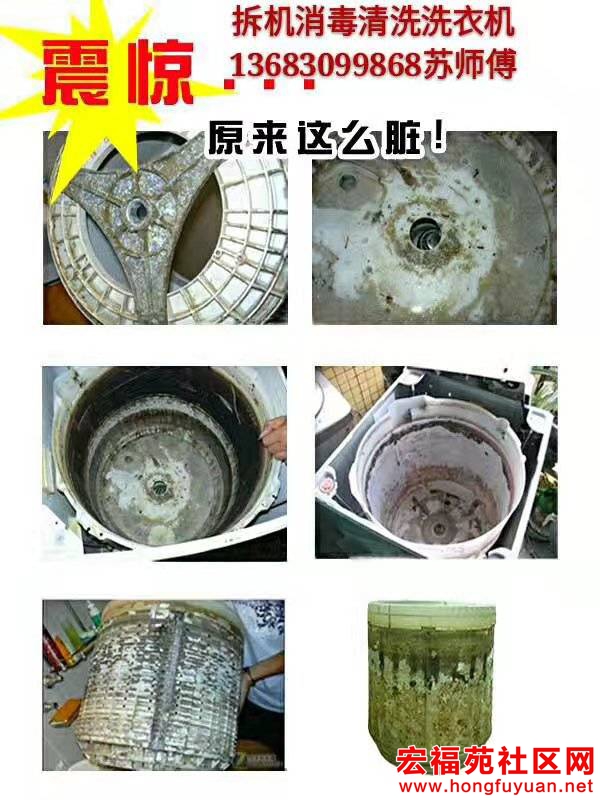 131808k3kzg6oi93q3m4gs.jpg