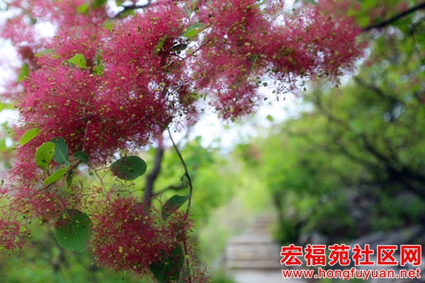 图片11.jpg