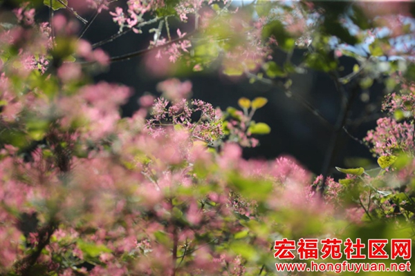 图片23.jpg