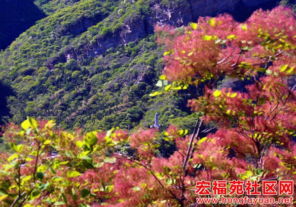 图片27.jpg