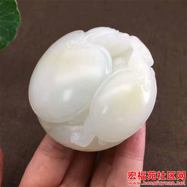 QQ图片20170603090128.jpg