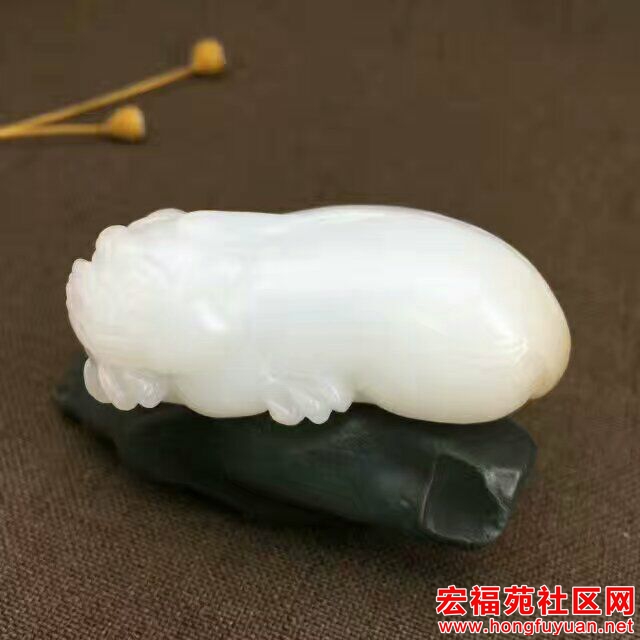 QQ图片20170604183907.jpg