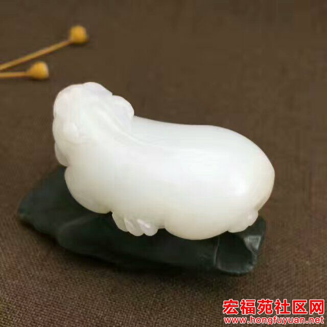 QQ图片20170604183903.jpg
