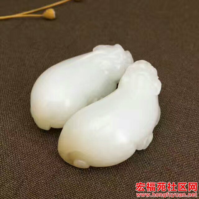 QQ图片20170604183859.jpg