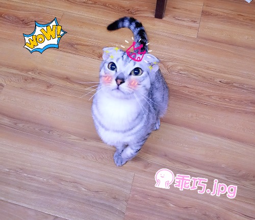 goMeirongTemp_mr1498045294825.jpg