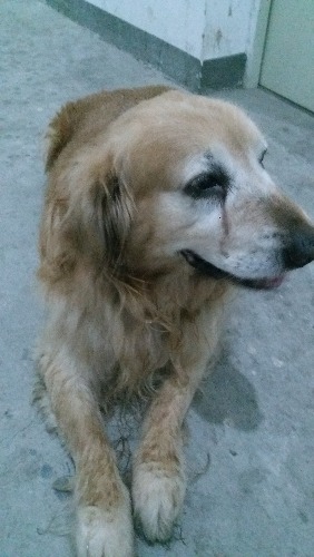 20170629_201248.jpg