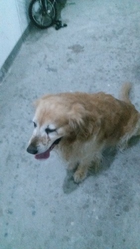 20170629_201238.jpg