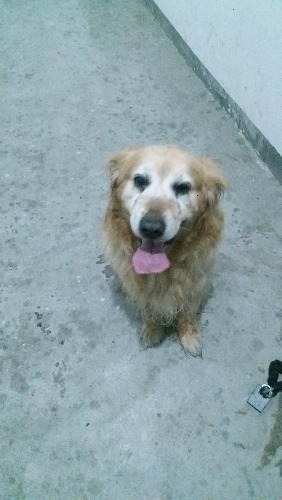 20170629_201206.jpg