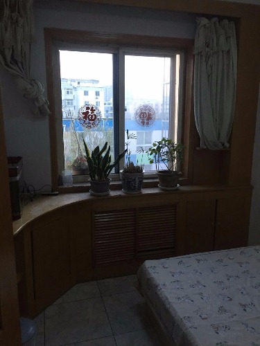 mmexport1511173082906.jpg