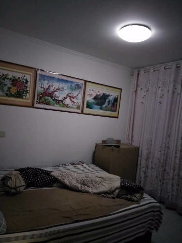 mmexport1511170854435.jpg