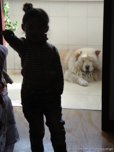 9772DAF4-BDA4-4B95-89ED-DF5A43FD4CEF.jpeg