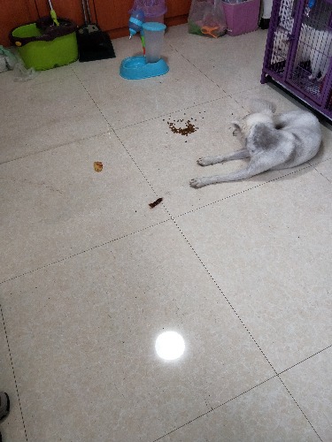 IMG20180422140051.jpg