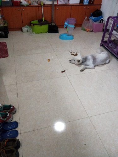 IMG20180422140043.jpg