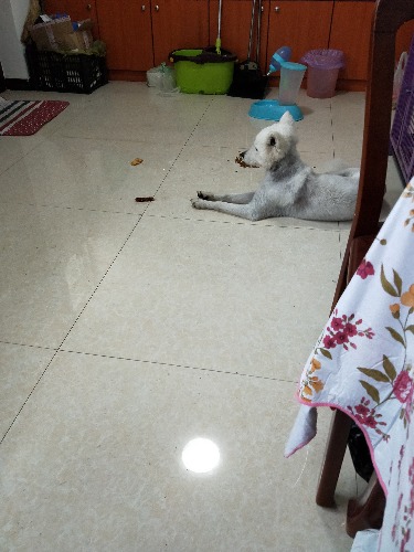IMG20180422140032.jpg