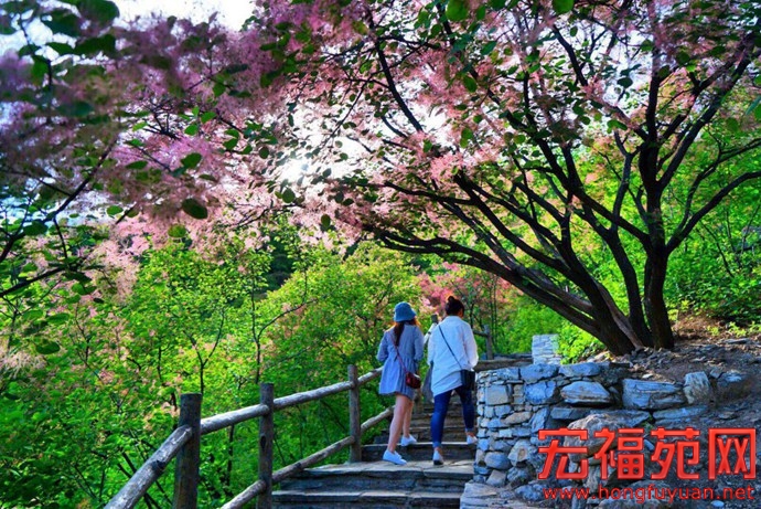 图片7.jpg