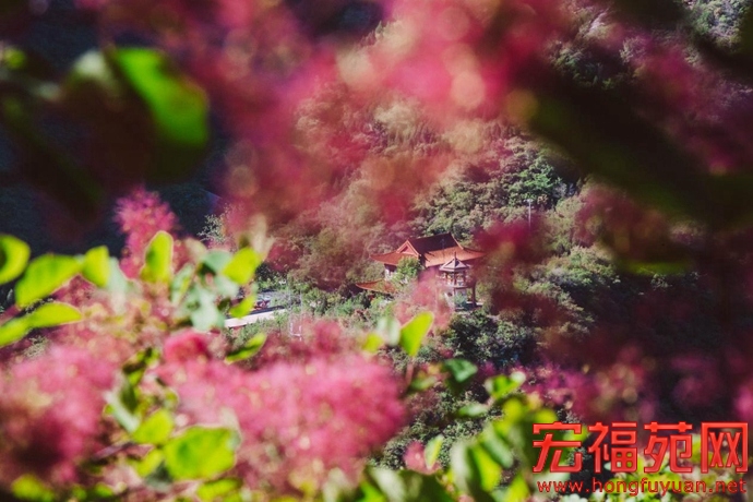 图片13.jpg