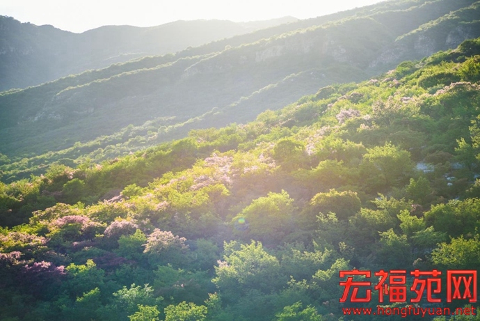 图片14.jpg