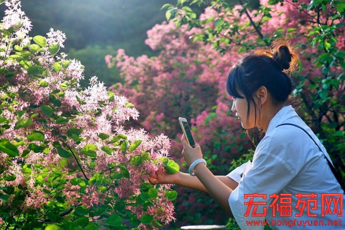 图片16.jpg