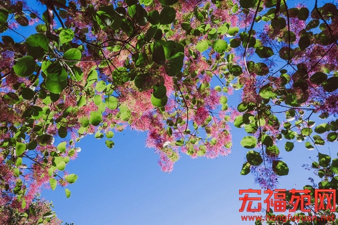 图片19.jpg