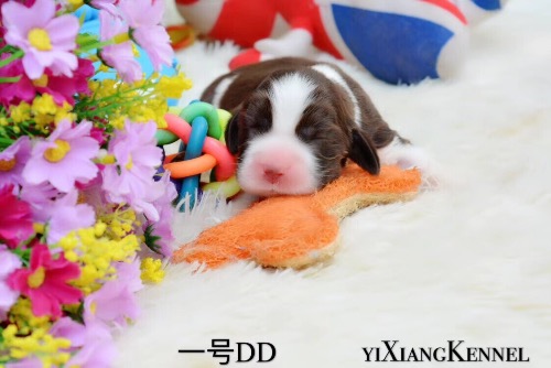 DDCF7A68-2839-44CC-9003-1213B1EFA01A.jpeg