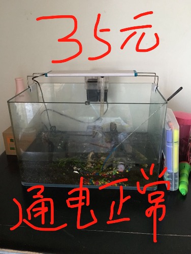 5627724E-24B0-4019-A447-DA9B0A31169A.jpeg