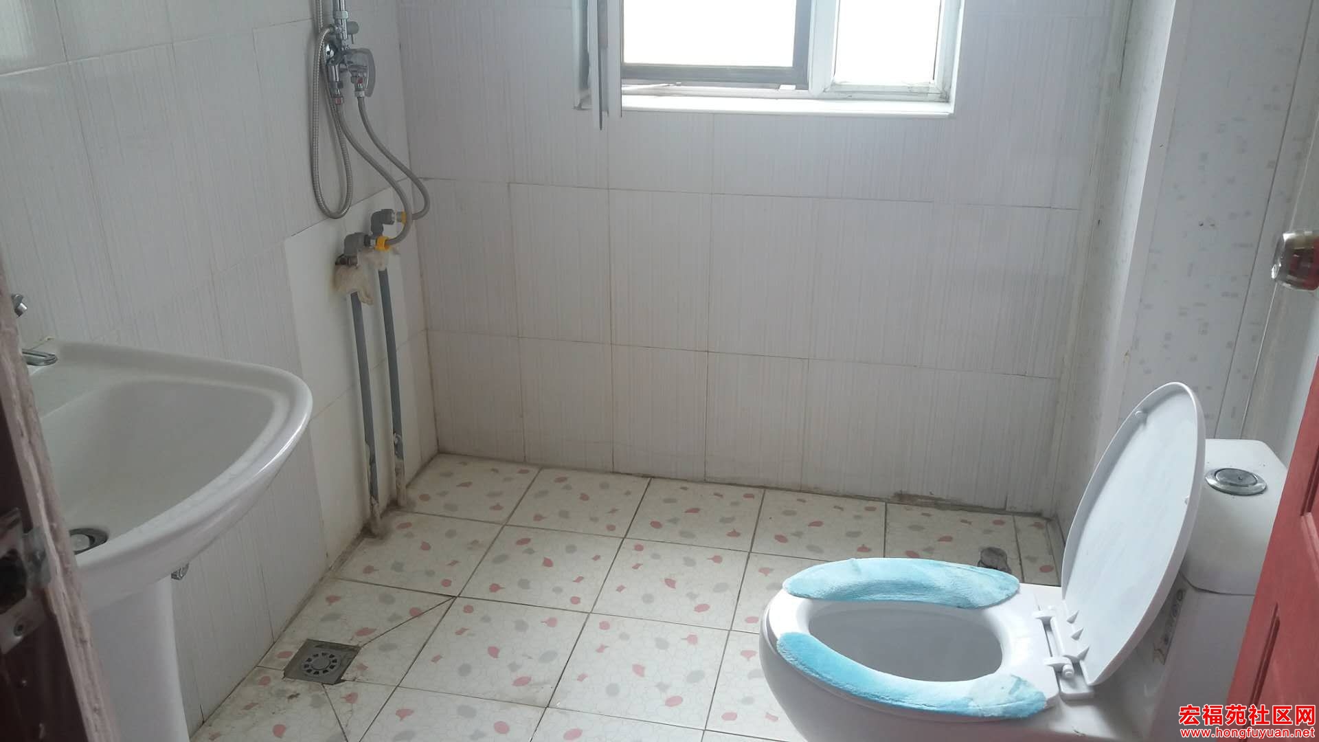 cd52bd5e8f174adbe423646d7809b16.jpg
