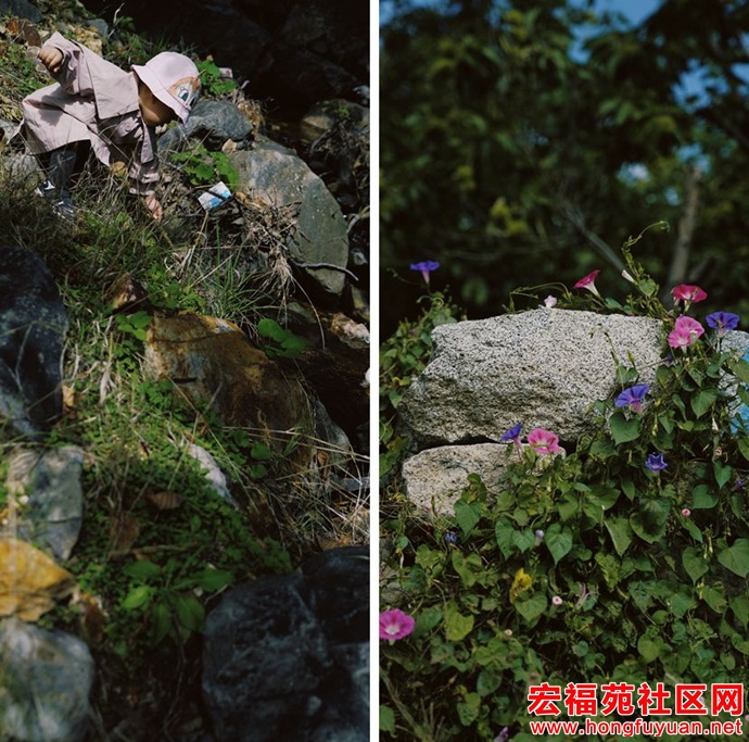 图片31.jpg